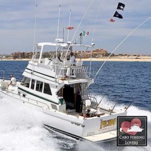 Picudo sportfishing yacht