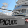 Picudo 45ft fishing yacht