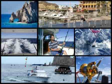 Cabo fishing pics