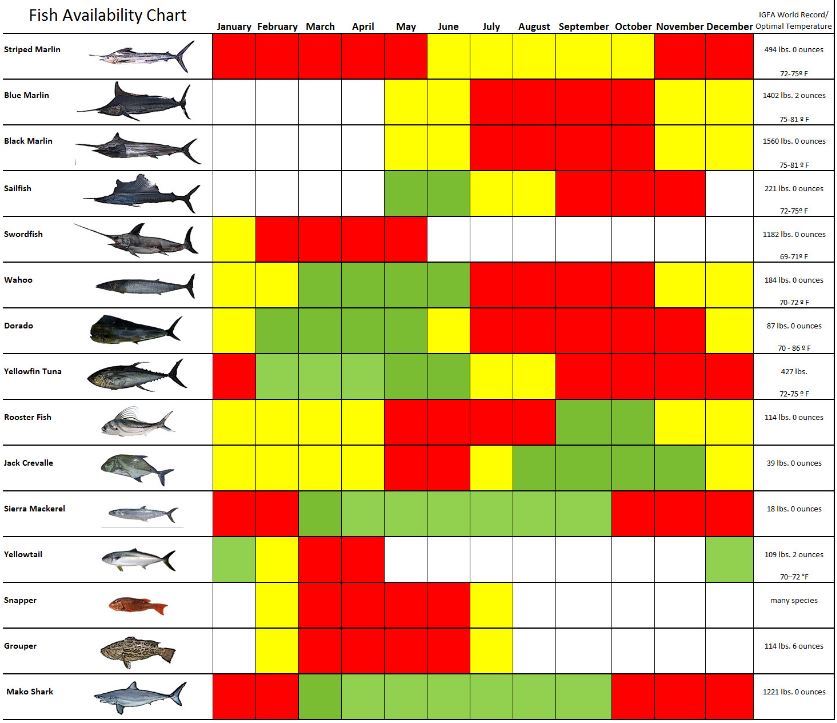 cabo-fishing-calendar